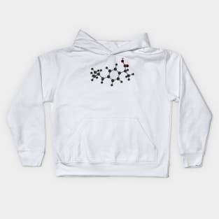 Ibuprofen Molecule Kids Hoodie